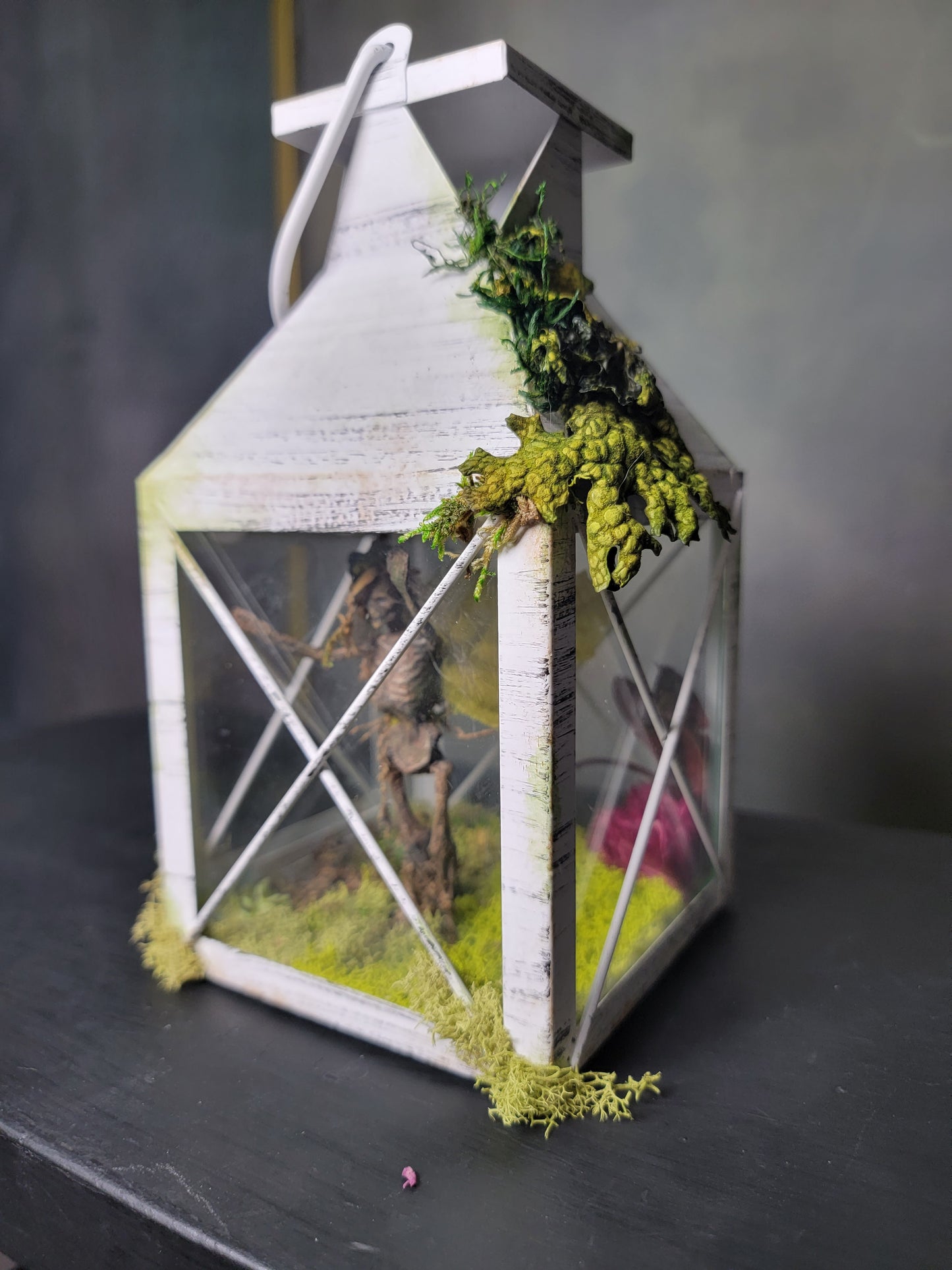Lantern of the Mummified Woodland Fairy