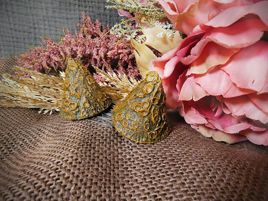 Lichencrest Horns